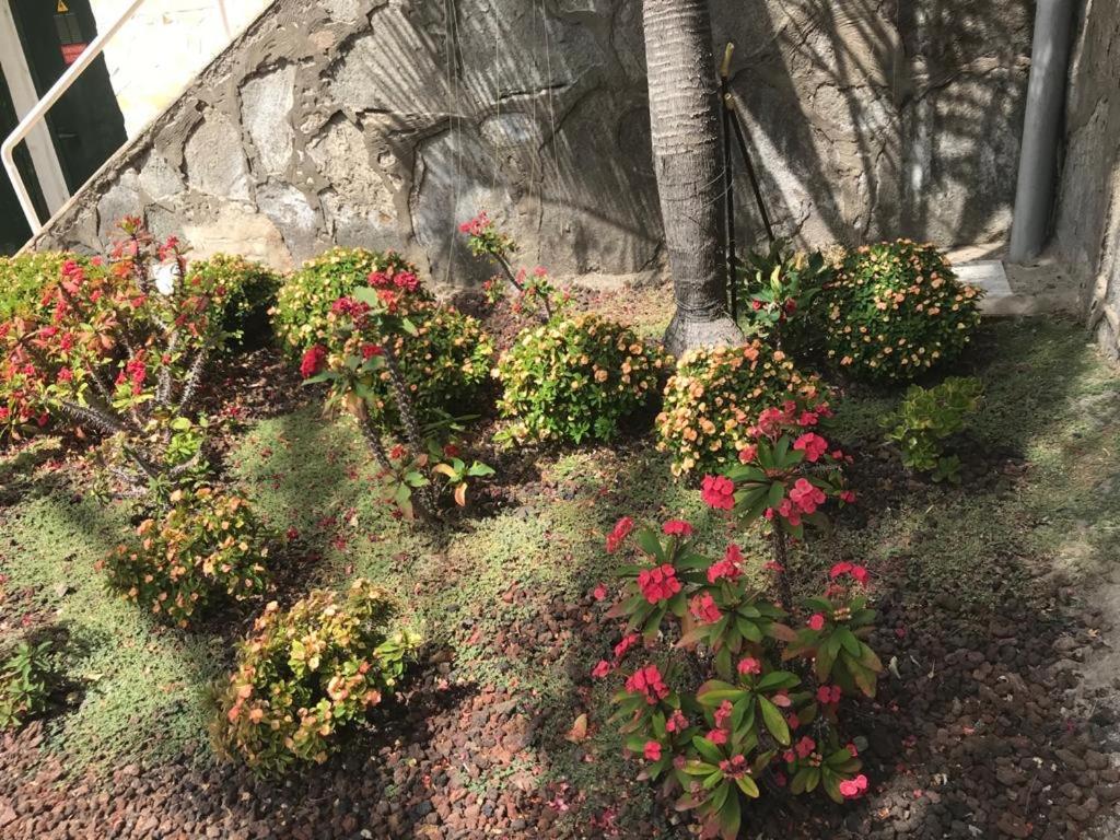 Bungalow Isla Margarita Puerto Rico  Dış mekan fotoğraf